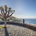 Playa Delphin 206